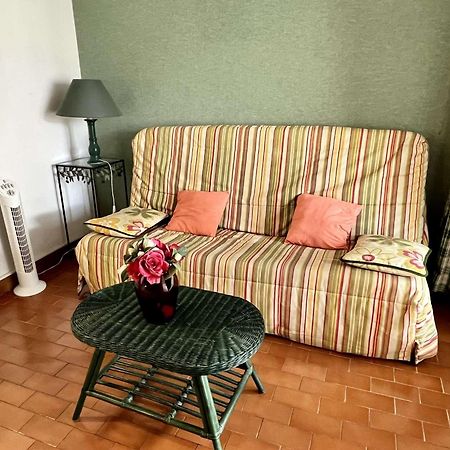 Studio A Argeles-Sur-Mer, 400M De La Plage Et Proche Commerces, Loggia, Animaux Bienvenus, Menage Inclus - Fr-1-225-548 Exteriér fotografie